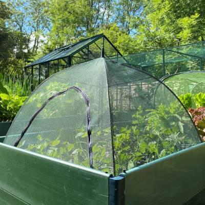 uploads/images/338 2819 0 400 Wide