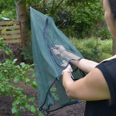 uploads/images/338 2821 0 400 Wide