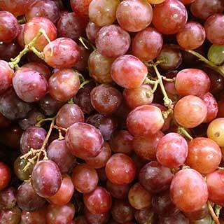 uploads/images/340068_1