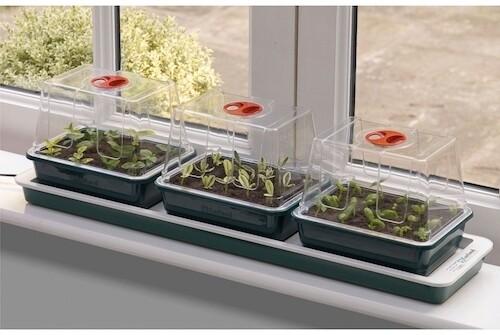 uploads/images/3435779868