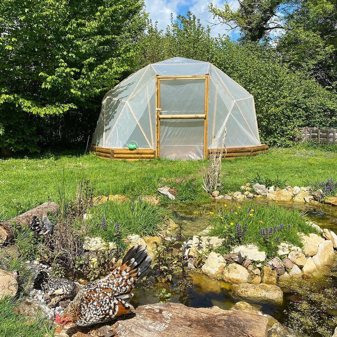 uploads/images/356641219_275439545155938_5500549230954968421_n