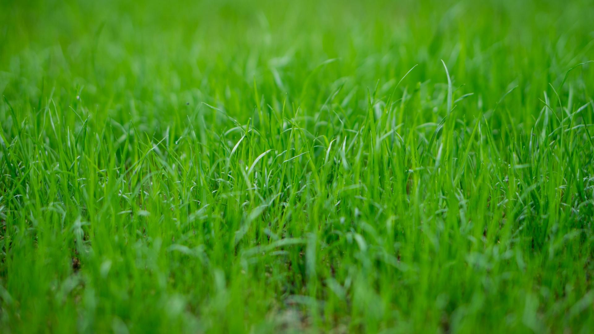 uploads/images/361095477_791524119335129_6507702901906743963_n