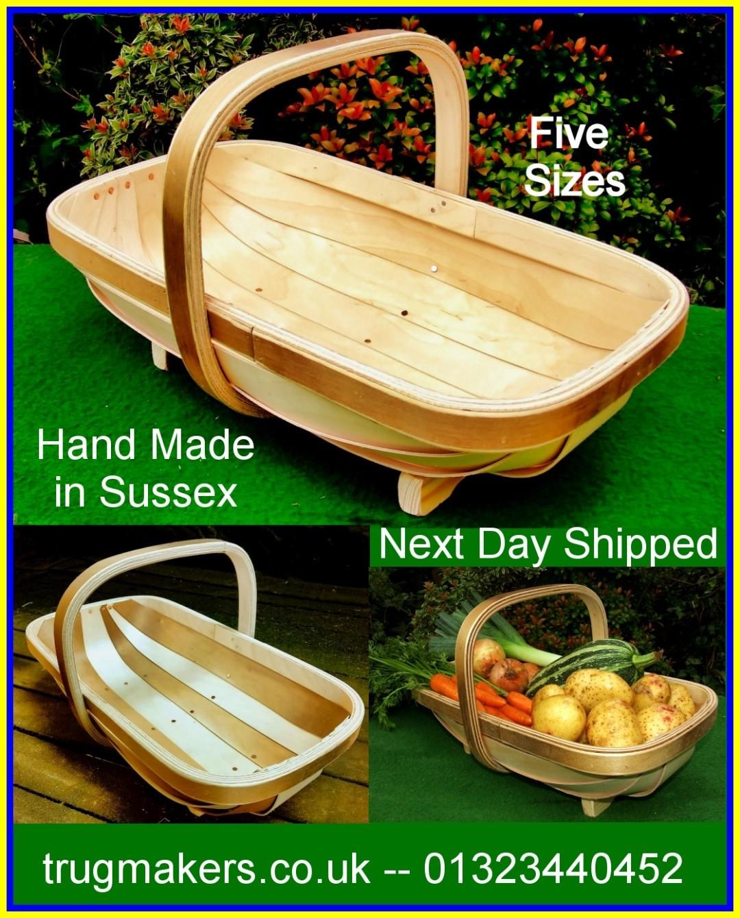 uploads/images/362647128_583163660696522_2463097682271370133_n