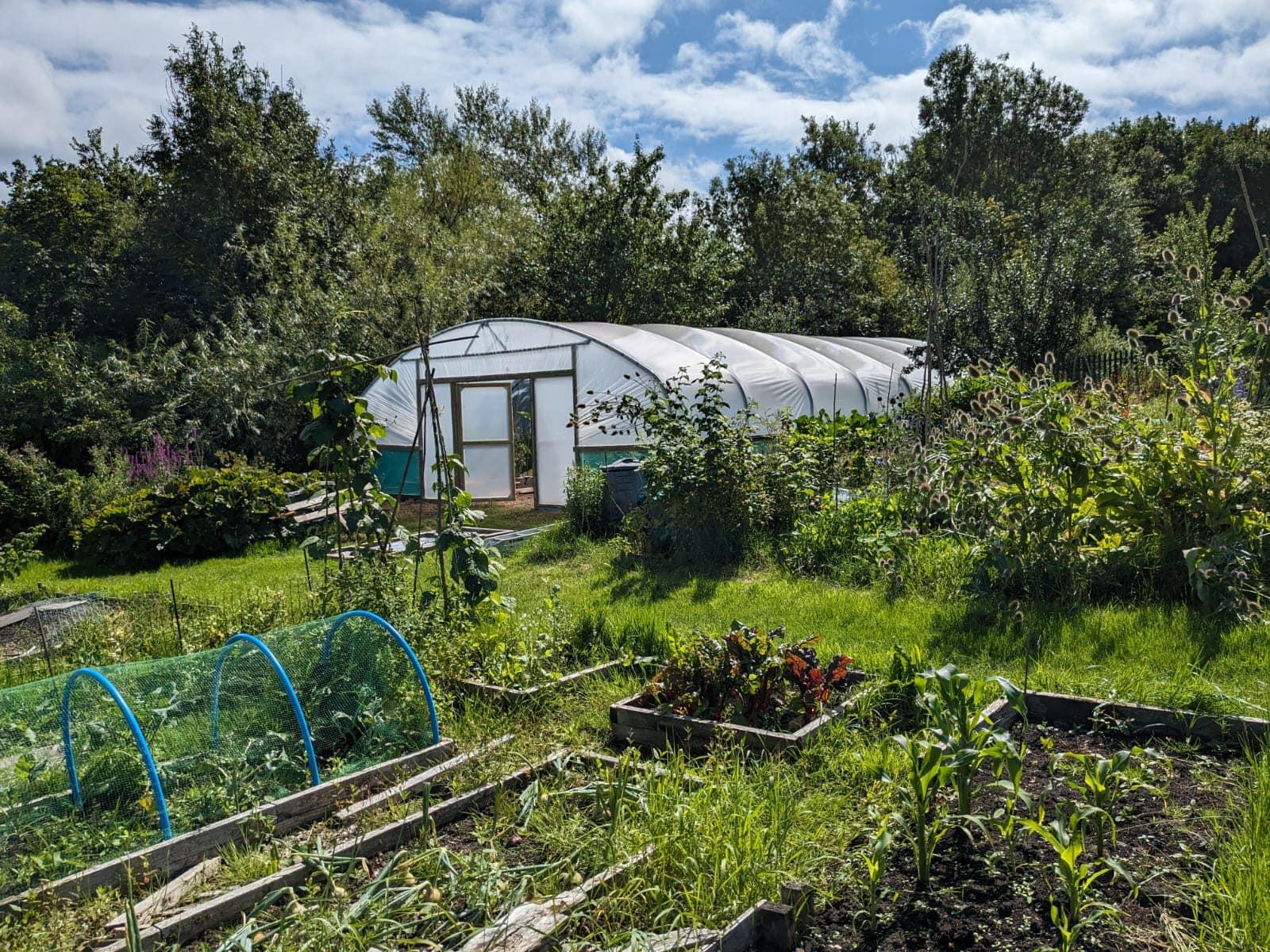 uploads/images/369259777_1038455724136970_2503883916865231201_n