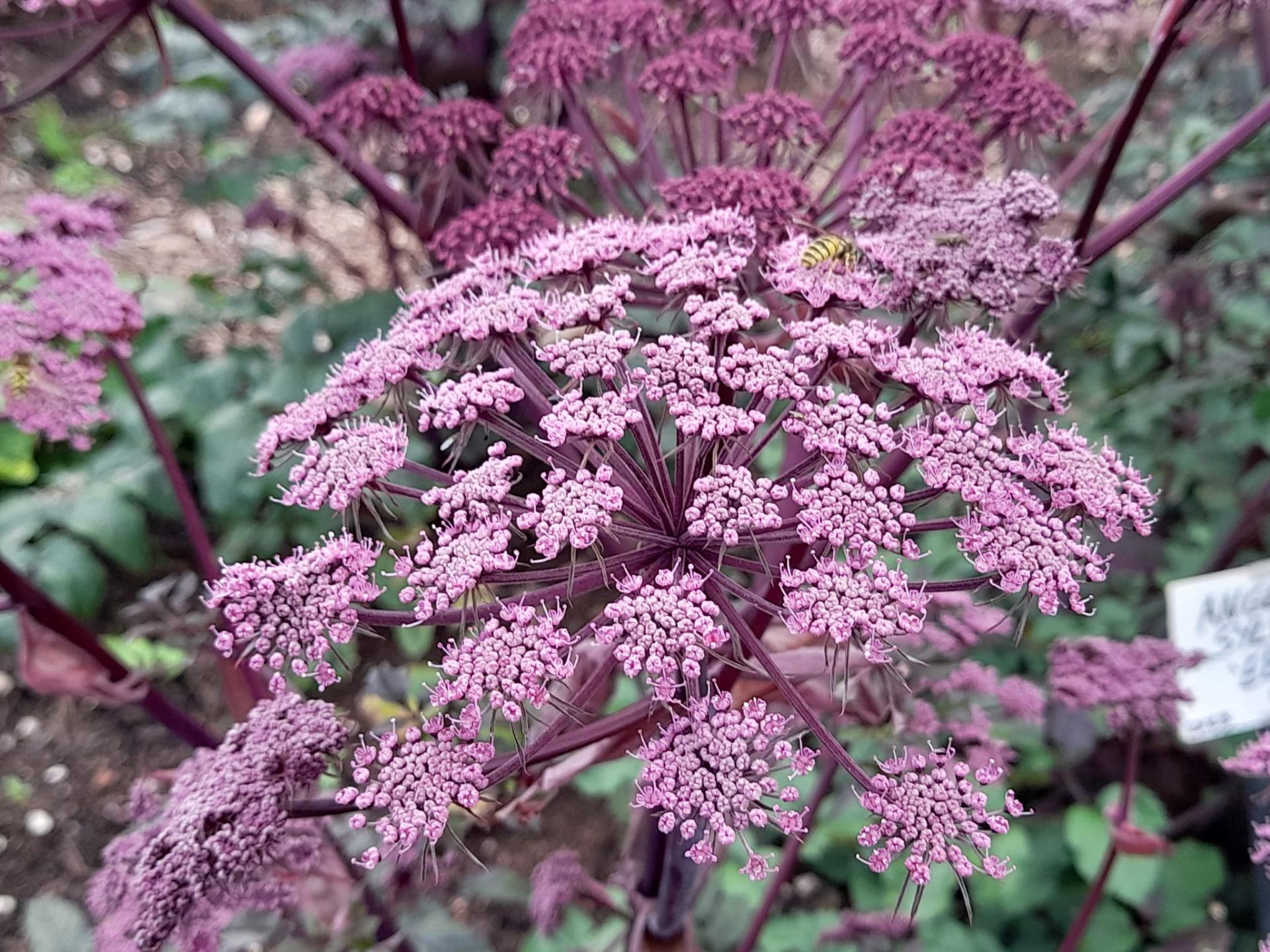 uploads/images/374973460_794809792645661_5753753663739386043_n