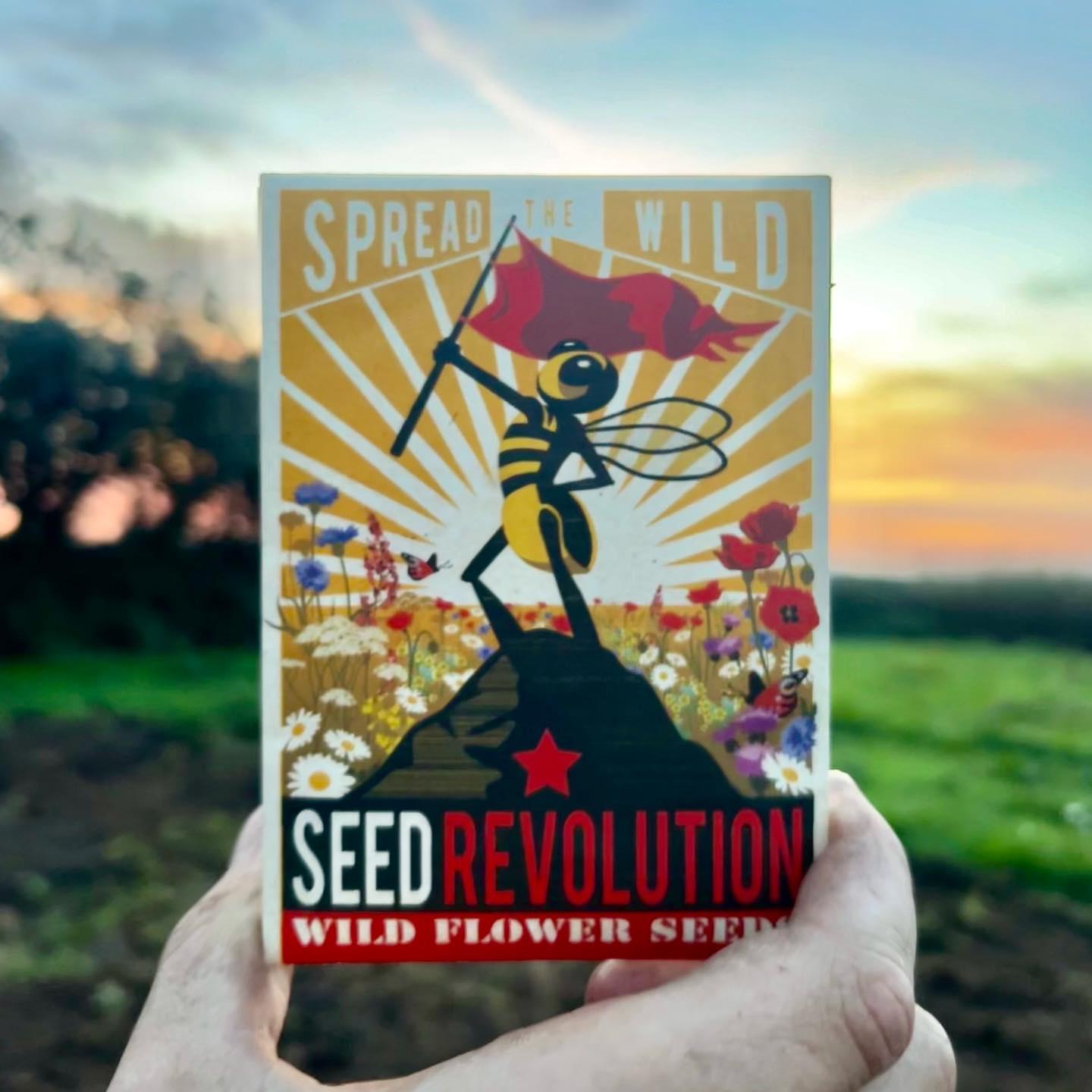 uploads/images/387834796_17950894274690227_4788568082985273150_n