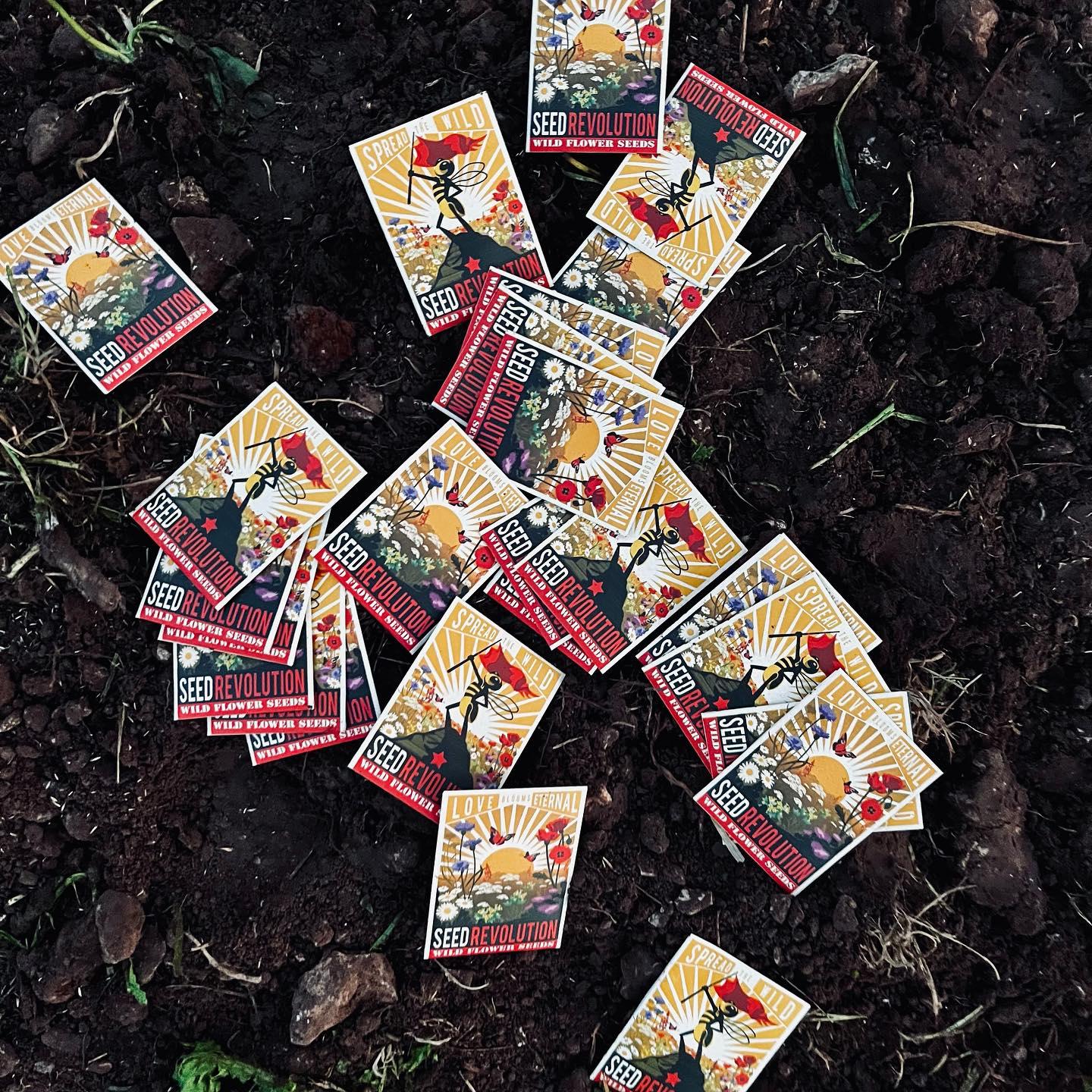 uploads/images/387842134_17950894283690227_5198317974877372127_n