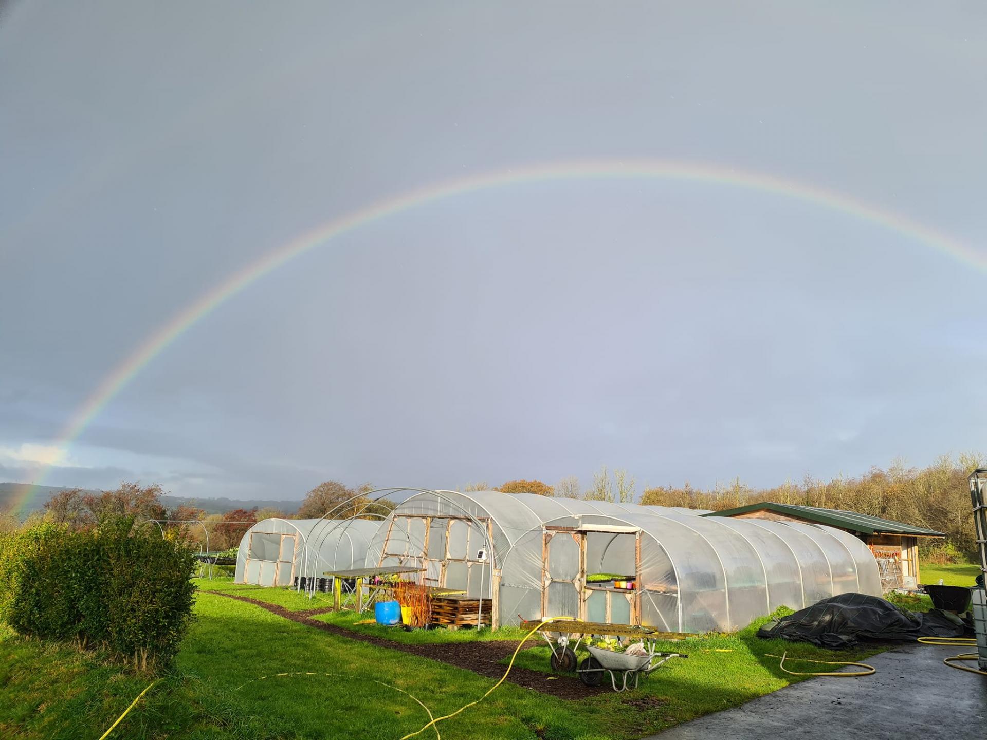 uploads/images/404964284_835870468332890_4202713499977495541_n