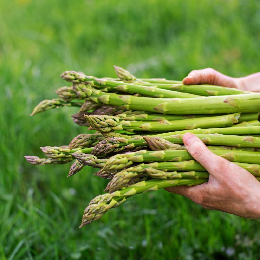 uploads/images/408919462_864314465694332_657427772220077530_n