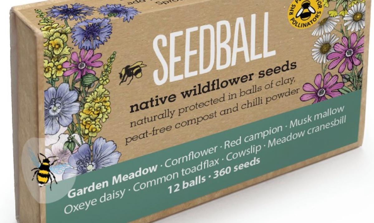 uploads/images/420651781_765646505595909_2373011398926786743_n