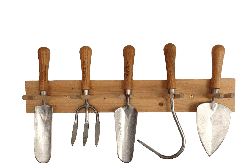 uploads/images/4227 2 Photoroom 1