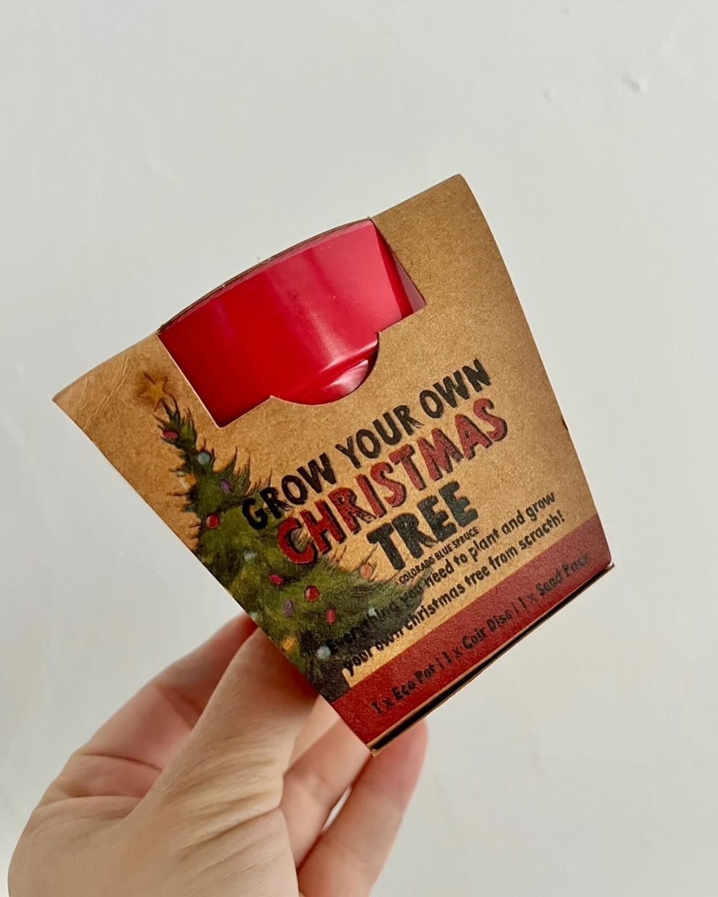 uploads/images/465074858_18446924860071320_2641294645740250856_n