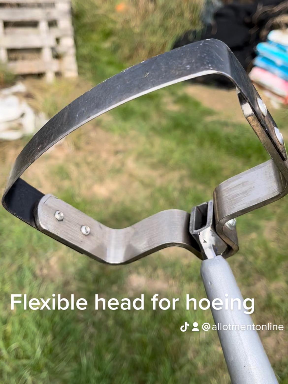 uploads/images/this head