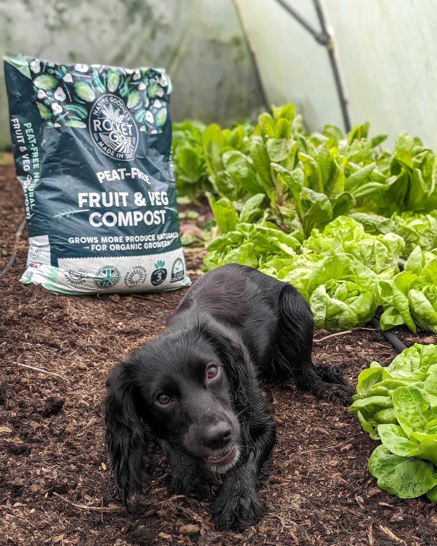 uploads/images/469258419_18049302251476717_39525284829099744_n