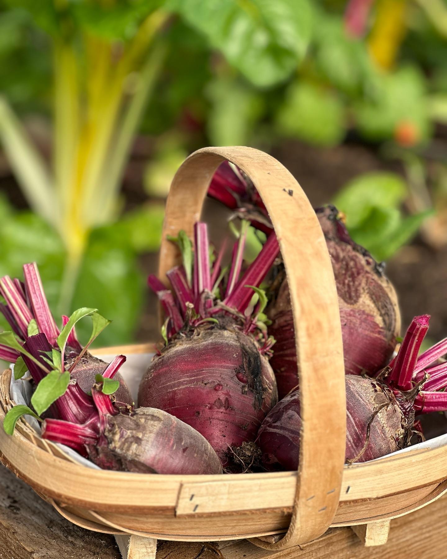 uploads/images/472234883_18052683296476717_7137506178900217793_n