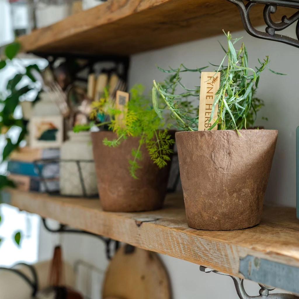 uploads/images/472313595_122136083552531412_2334789310831004064_n