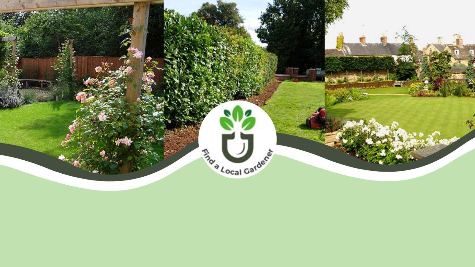 uploads/images/474755897_2021015328376881_5398573610974562727_n