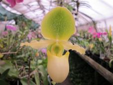 uploads/images/480 2