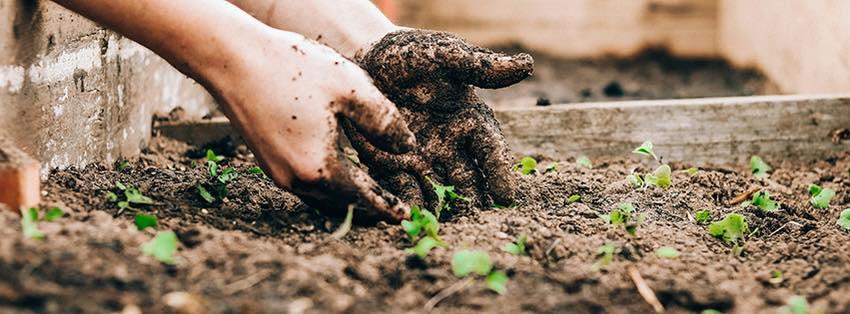 uploads/images/480423687_958124069633119_8995107060469902513_n