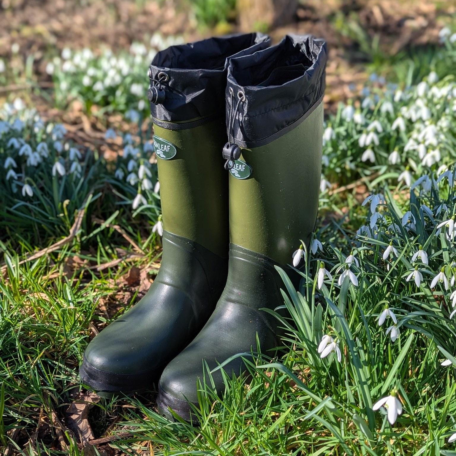 uploads/images/487876576_1420512992262524_7629291683565220529_n