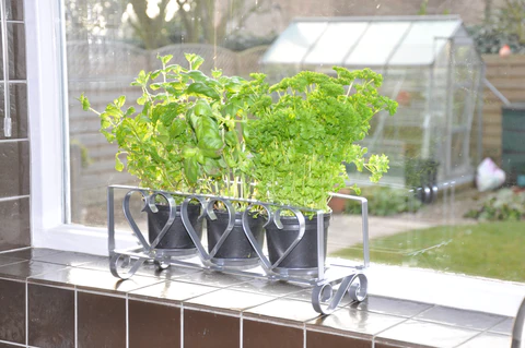 uploads/images/48_herb_plant_pot_holder_large