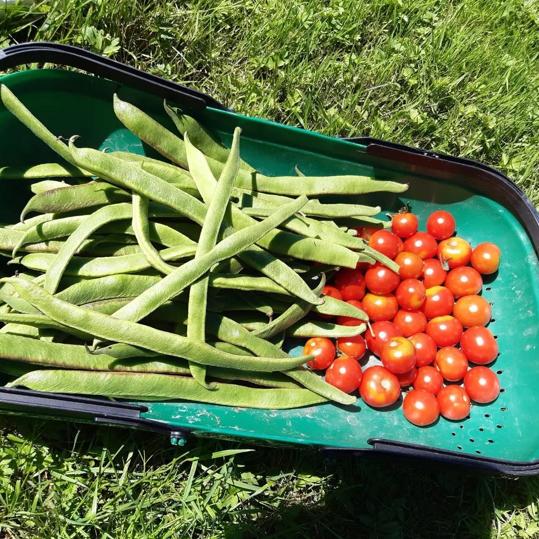 uploads/images/491929600_1211194617678027_7199804394490419022_n