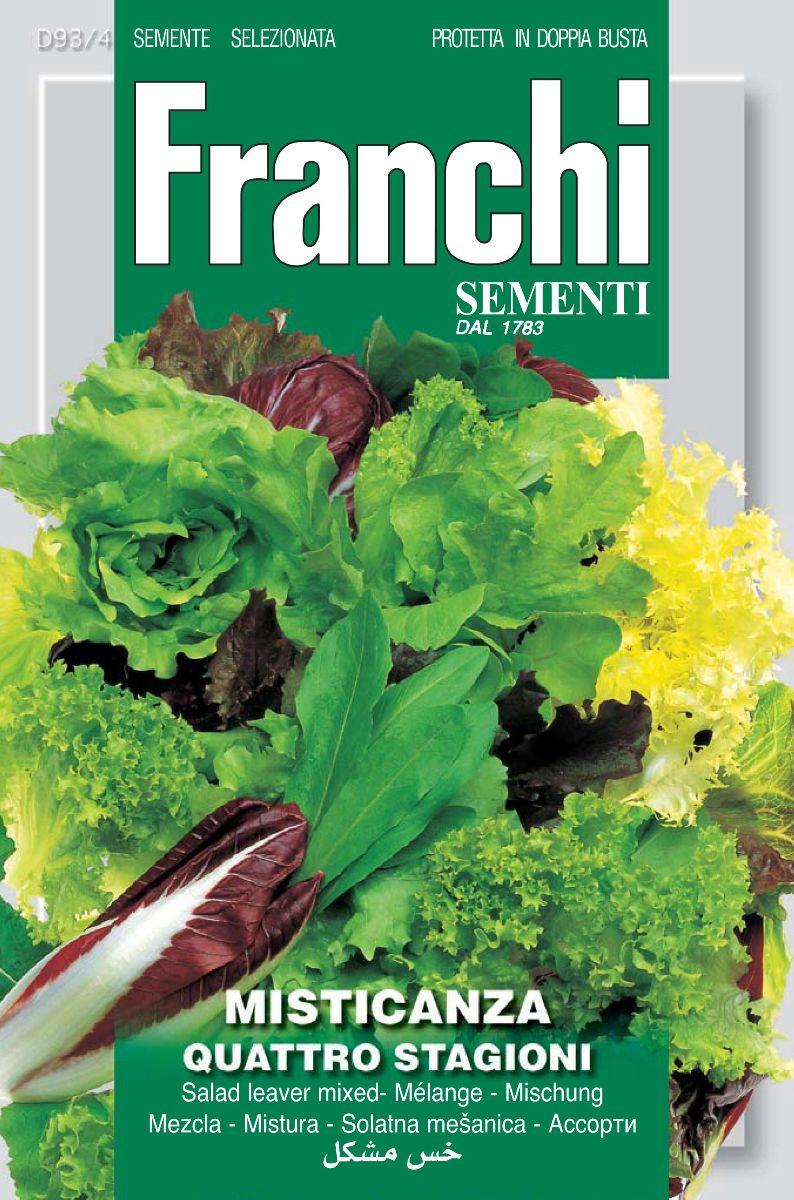 uploads/images/499931836_1197392922402653_8052081211964907052_n