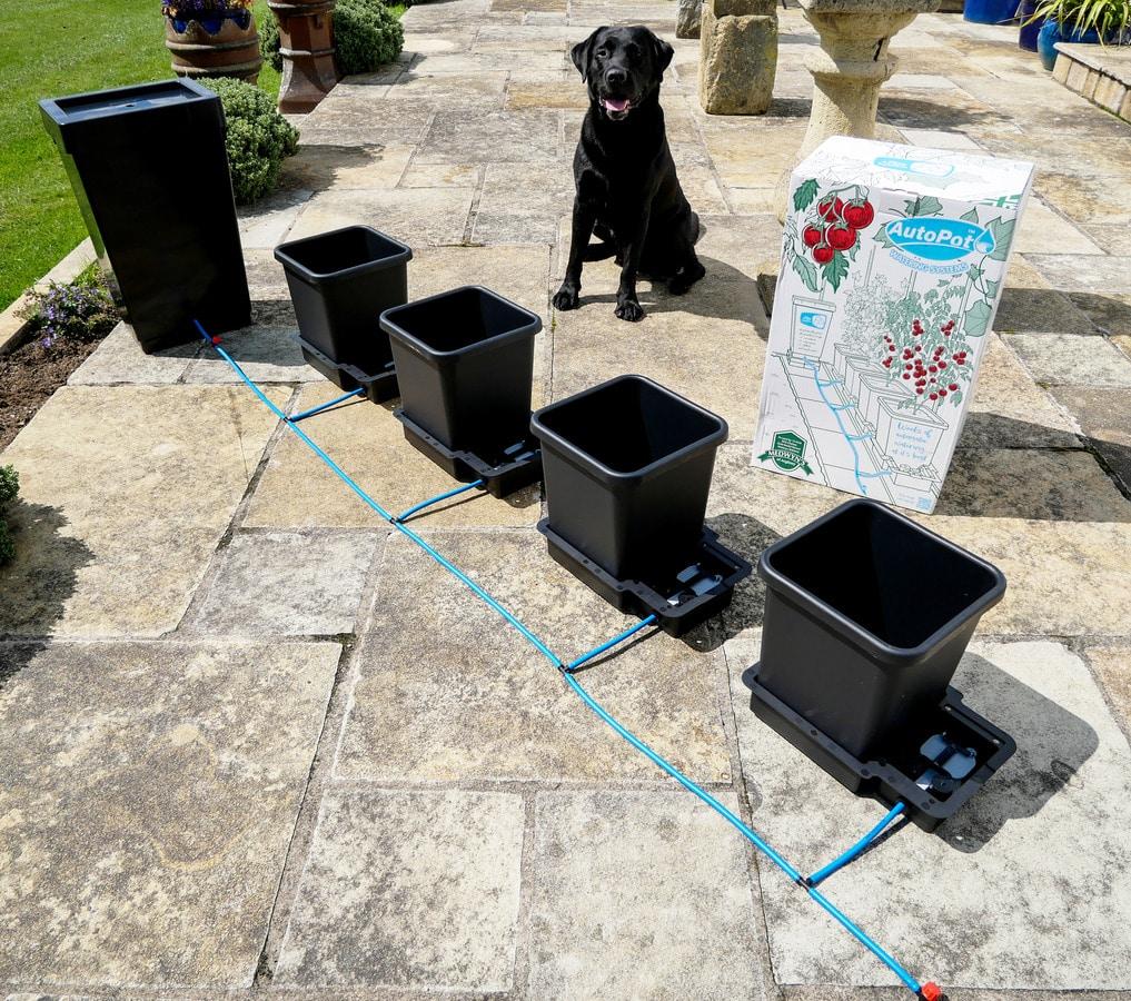 uploads/images/4pot_pack_1_3 1