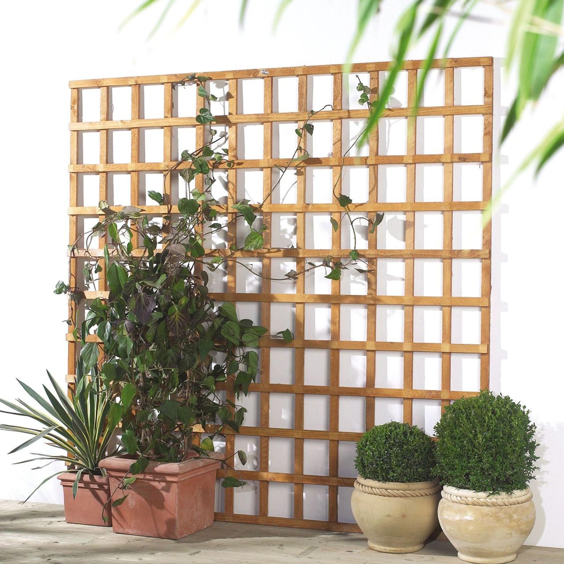 uploads/images/5019063102564_01i__09215