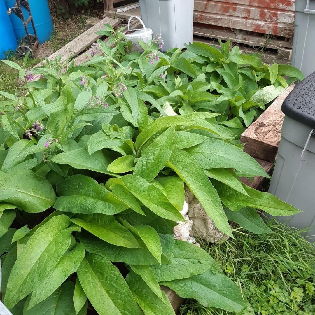 uploads/images/524387627_18411265285106968_4188890264282362606_n