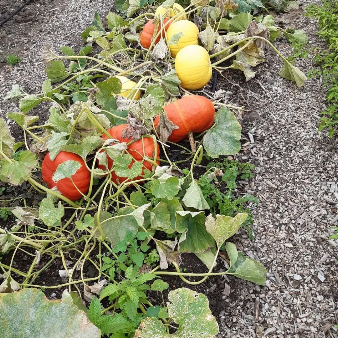 uploads/images/542996453_18417077023106968_744918333539542716_n