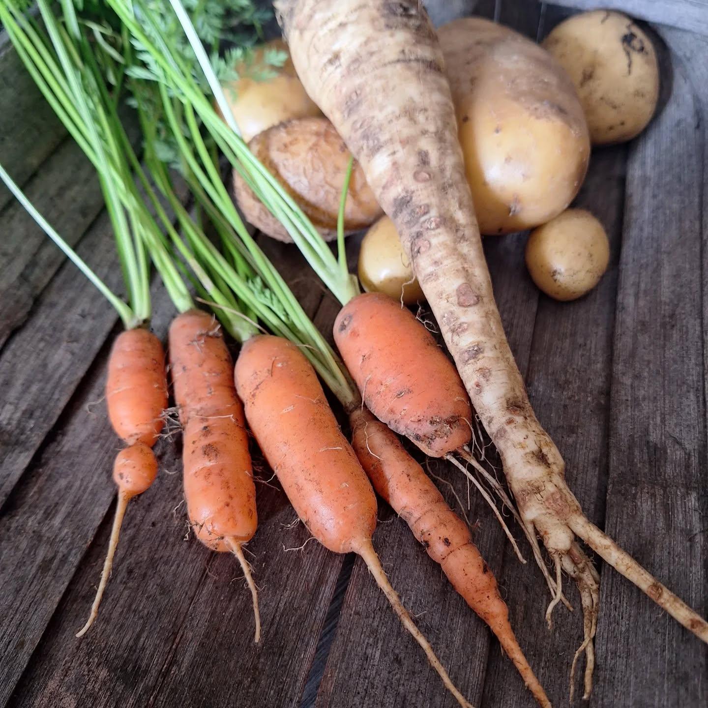 uploads/images/546546538_18030037778720481_6438921976487183887_n