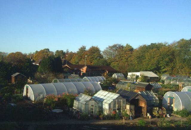 uploads/images/5949184_35607708