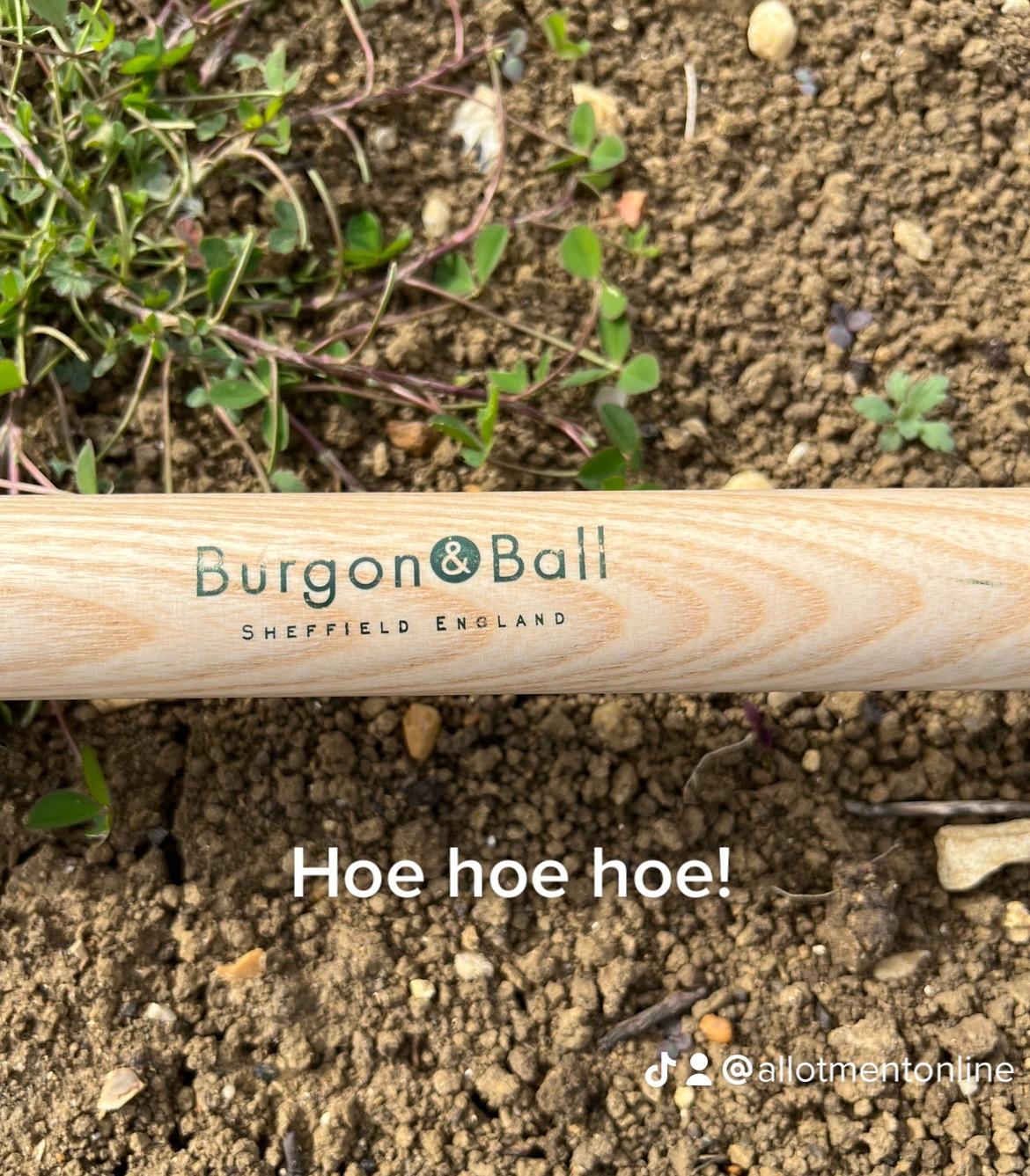 uploads/images/59e8a020 D2cb 48f2 8648 5211770bf642