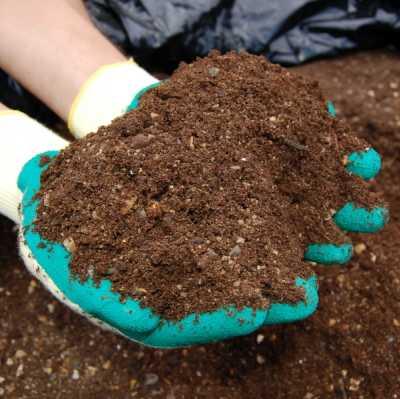 uploads/images/622204532