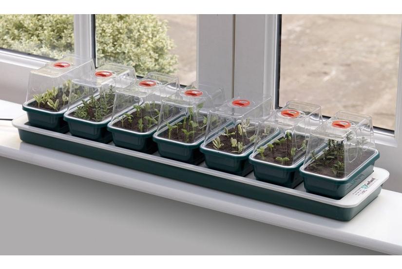 uploads/images/63a G51 Super 7 Propagator Electric Window Propagator With Plant_10