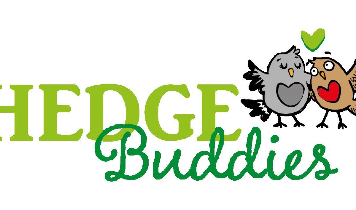 uploads/images/63b07879d9e_o63b07879378det63b07879378df