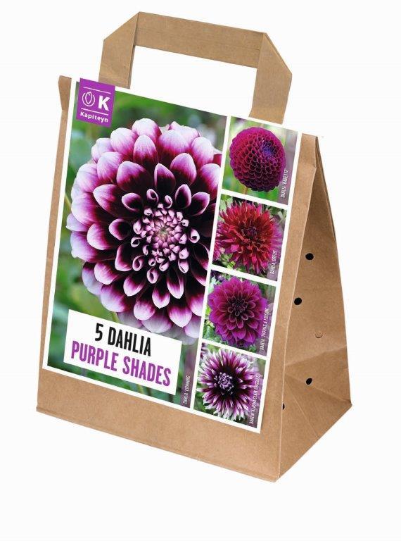 uploads/images/696654