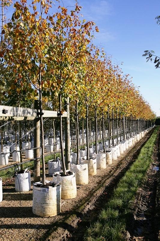 uploads/images/6dda6e39ecb310e34a64be1e8f90