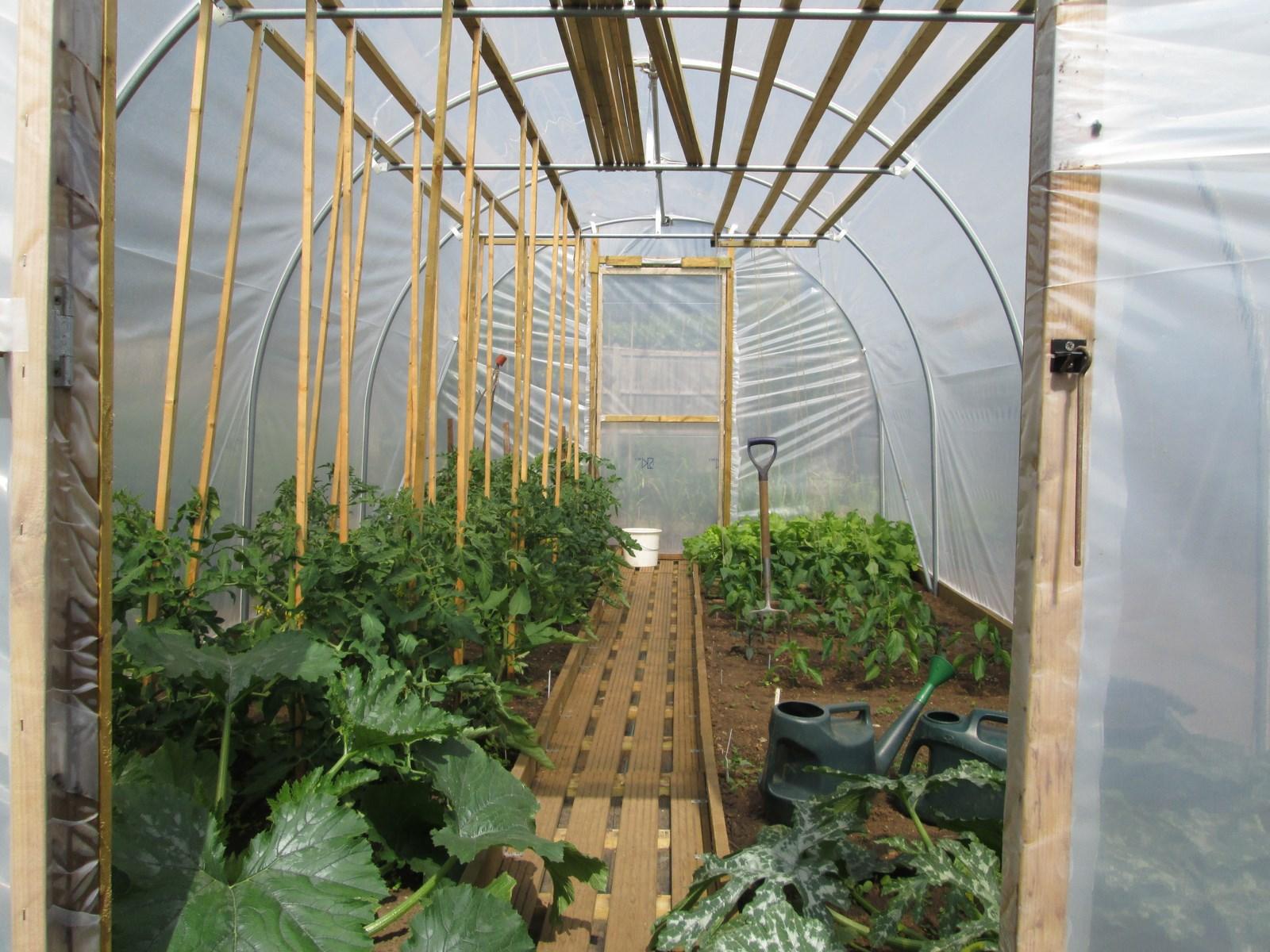 uploads/images/7 Five Star Polytunnels 10 X 20 Sargeant All Those Crops