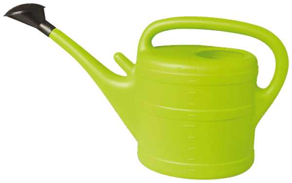 uploads/images/70201031 600x377