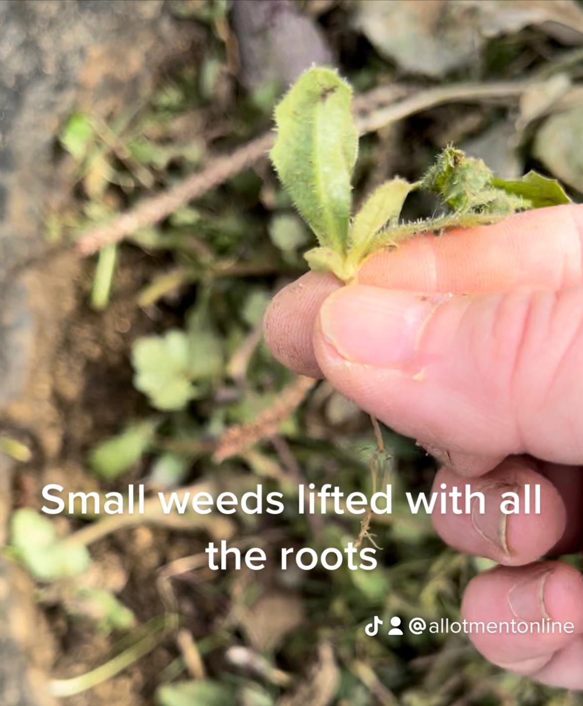 uploads/images/78a5ec00 4e29 48c4 8095 E271dc57226b