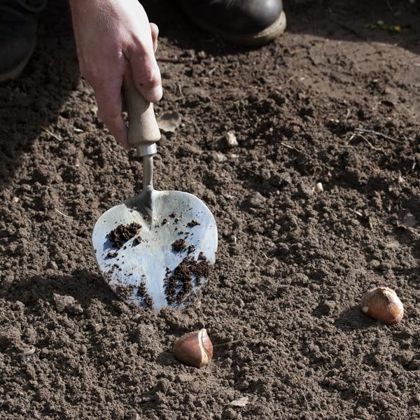 uploads/images/8715093040063 Retouche