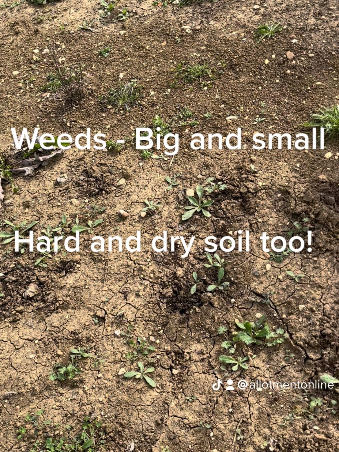 uploads/images/8baa00c9 E21b 443a 855e Ac5cb82fb9ff