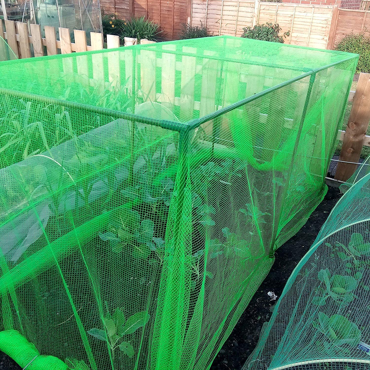 uploads/images/91bbrh0ftil._ac_sl1500_