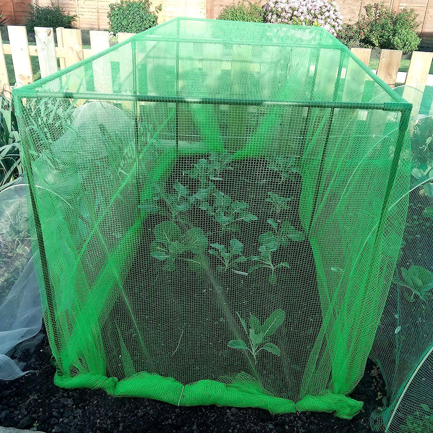 uploads/images/91o5s4ba3l._ac_sl1500_