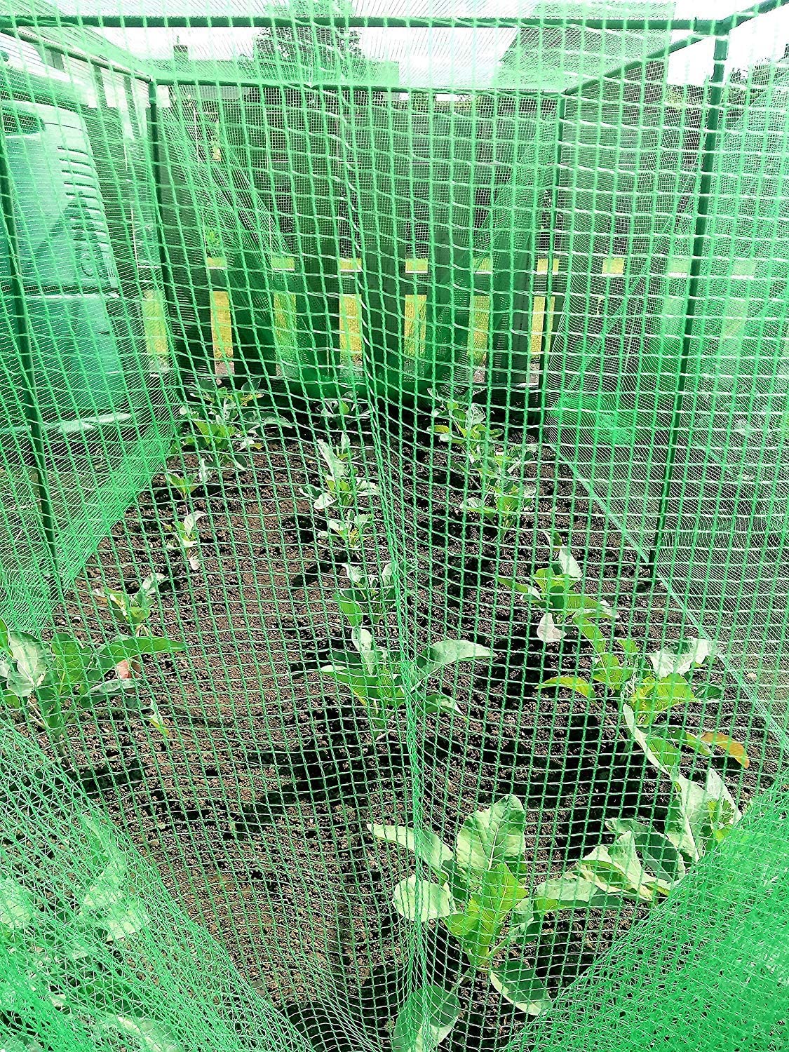 uploads/images/91s87kw7ucl._ac_sl1500_