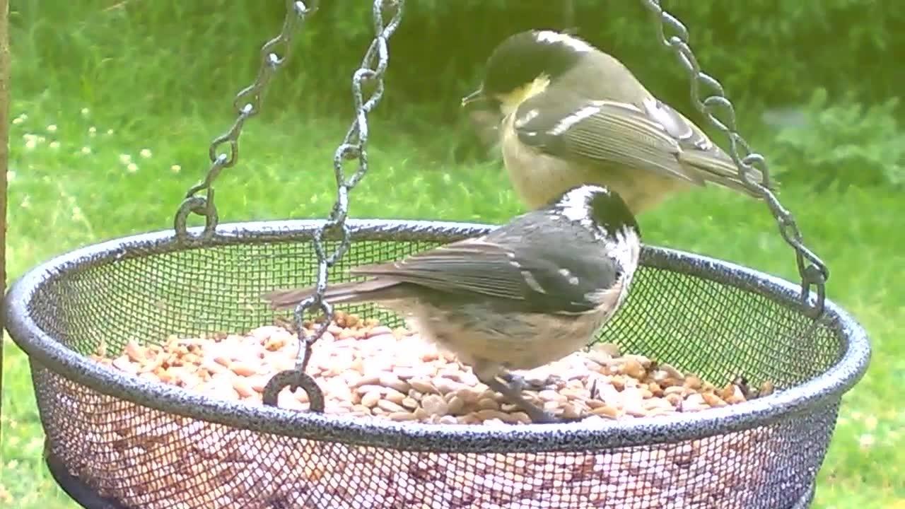 uploads/images/97068021_243707700303694_5843068754396708864_n 1