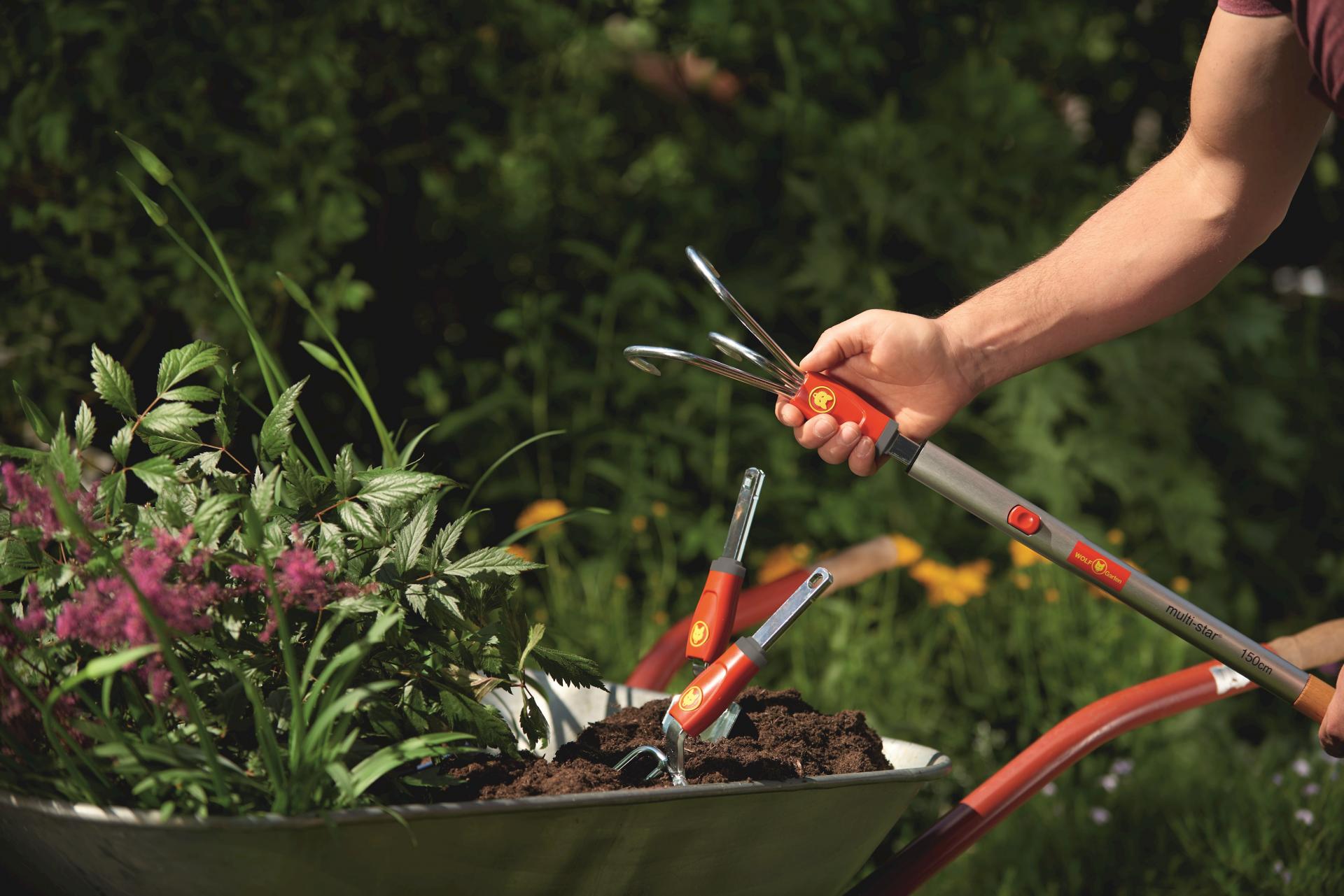 uploads/images/_650_99_multi Star Range_b10_2019_01 Copy 1_lo