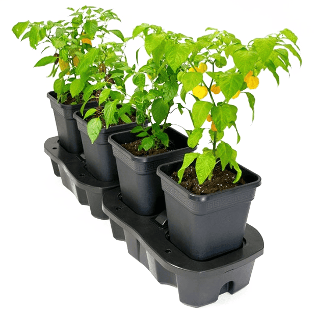 uploads/images/_app_uploads_2021_06_new_quadgrow_ _inside_photos_oct_18_150_web_1 Min